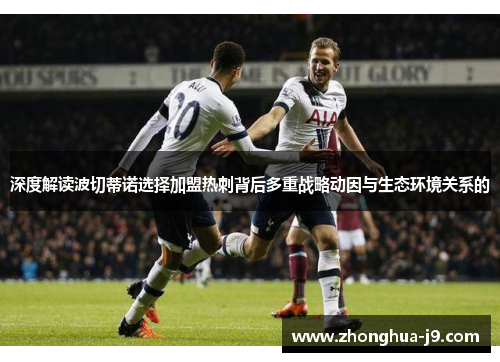 深度解读波切蒂诺选择加盟热刺背后多重战略动因与生态环境关系的