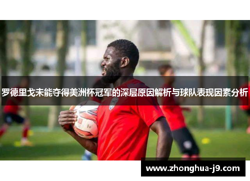 罗德里戈未能夺得美洲杯冠军的深层原因解析与球队表现因素分析